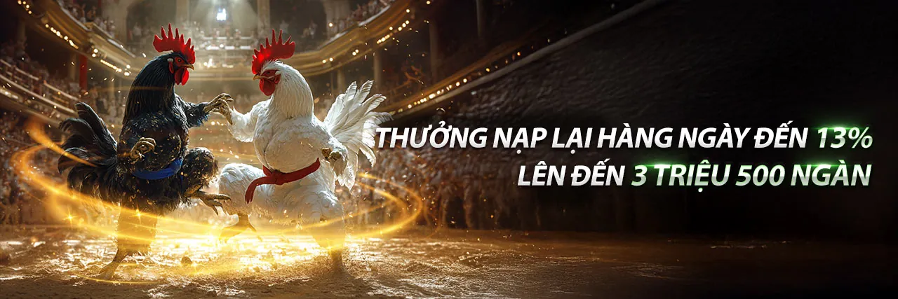 Banner khuyến mãi thành viên mới