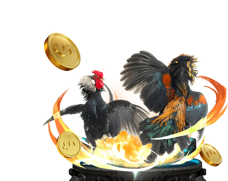 Cá Cược Thể Thao Thần Quay 247